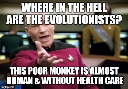 Picard Wtf Meme | WHERE IN THE HELL ARE THE EVOLUTIONISTS? THIS POOR MONKEY IS ALMOST HUMAN & WITHOUT HEALTH CARE | image tagged in memes,picard wtf | made w/ Imgflip meme maker