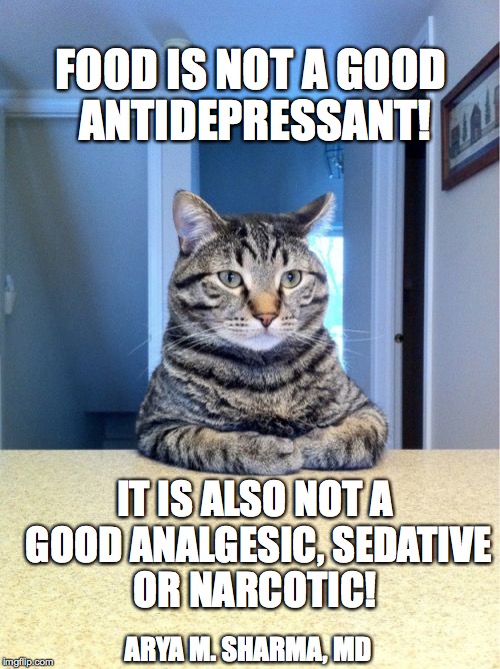 Take A Seat Cat Meme | FOOD IS NOT A GOOD ANTIDEPRESSANT! IT IS ALSO NOT A GOOD ANALGESIC, SEDATIVE OR NARCOTIC! ARYA M. SHARMA, MD | image tagged in memes,take a seat cat | made w/ Imgflip meme maker