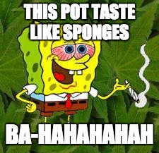 Weed | THIS POT TASTE LIKE SPONGES BA-HAHAHAHAH | image tagged in weed | made w/ Imgflip meme maker