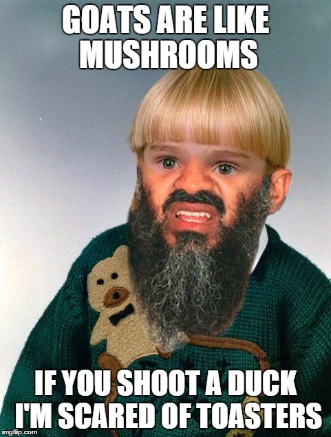 GOATS ARE LIKE MUSHROOMS IF YOU SHOOT A DUCK I'M SCARED OF TOASTERS | image tagged in osamakid_full | made w/ Imgflip meme maker