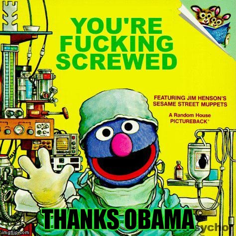 Obamacare for me and you! | THANKS OBAMA | image tagged in muppets,books,obamacare | made w/ Imgflip meme maker
