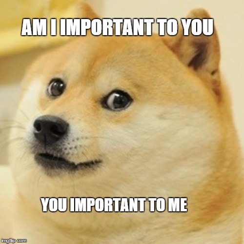 Doge Meme | AM I IMPORTANT TO YOU YOU IMPORTANT TO ME | image tagged in memes,doge | made w/ Imgflip meme maker