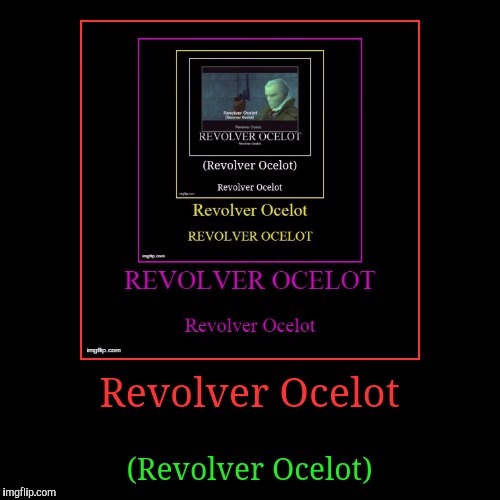 Revolver Ocelot Meme / On image boards and discussion forums
