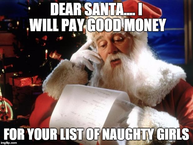 dear santa | DEAR SANTA.... I WILL PAY GOOD MONEY FOR YOUR LIST OF NAUGHTY GIRLS | image tagged in dear santa | made w/ Imgflip meme maker