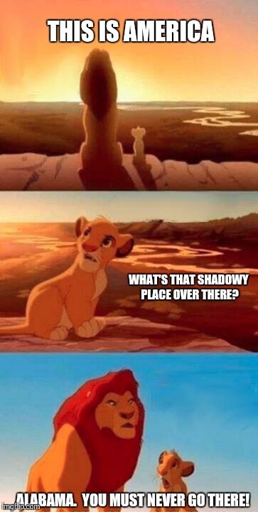 Lion King | THIS IS AMERICA WHAT'S THAT SHADOWY PLACE OVER THERE? ALABAMA.  YOU MUST NEVER GO THERE! | image tagged in lion king | made w/ Imgflip meme maker