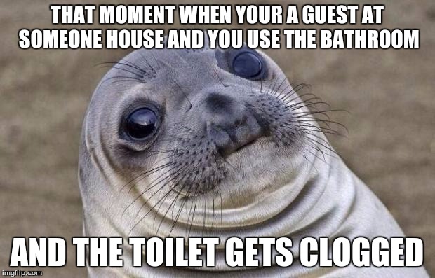 happened to me yesterday which made me think of this | THAT MOMENT WHEN YOUR A GUEST AT SOMEONE HOUSE AND YOU USE THE BATHROOM AND THE TOILET GETS CLOGGED | image tagged in memes,awkward moment sealion | made w/ Imgflip meme maker