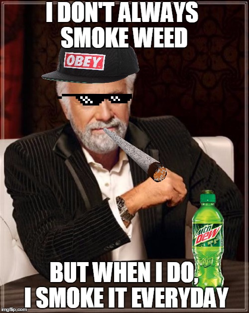 The Most Interesting Man In The World | I DON'T ALWAYS SMOKE WEED BUT WHEN I DO, I SMOKE IT EVERYDAY | image tagged in memes,the most interesting man in the world | made w/ Imgflip meme maker