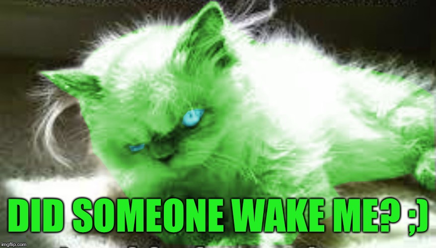 mad raycat | DID SOMEONE WAKE ME? ;) | image tagged in mad raycat | made w/ Imgflip meme maker