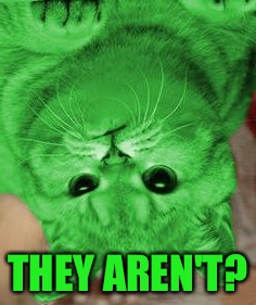 RayCat Annoyed | THEY AREN'T? | image tagged in raycat annoyed | made w/ Imgflip meme maker