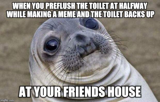 Awkward seal flush | WHEN YOU PREFLUSH THE TOILET AT HALFWAY WHILE MAKING A MEME AND THE TOILET BACKS UP AT YOUR FRIENDS HOUSE | image tagged in memes,awkward moment sealion,toilet troubles,potty humor,seal flush | made w/ Imgflip meme maker