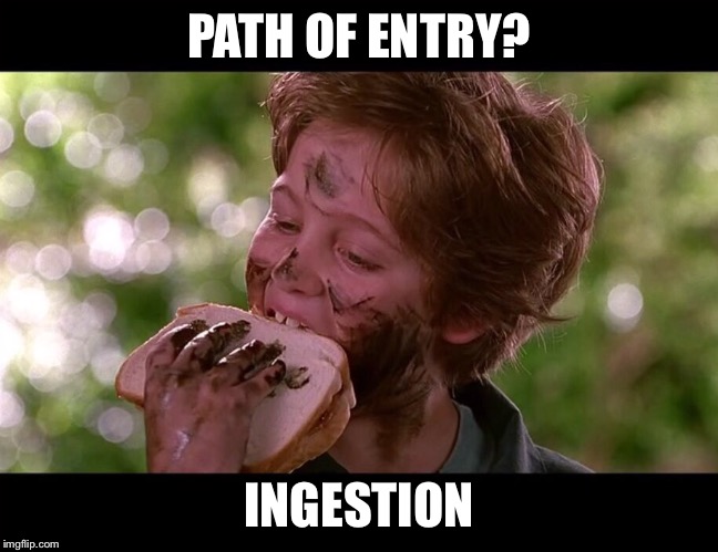PATH OF ENTRY? INGESTION | image tagged in sandwich,meme | made w/ Imgflip meme maker