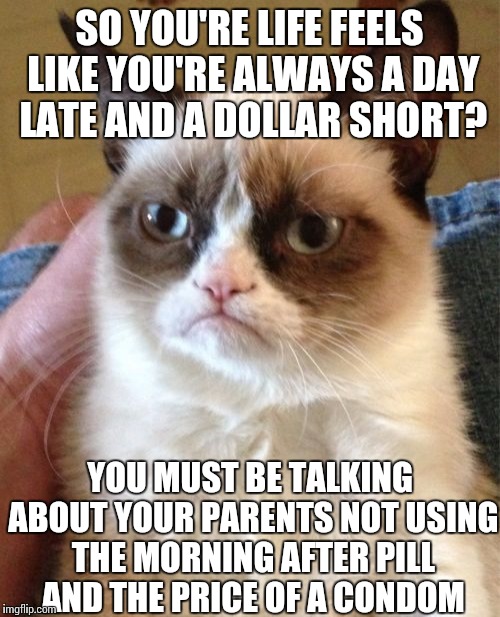 Grumpy Cat Meme | SO YOU'RE LIFE FEELS LIKE YOU'RE ALWAYS A DAY LATE AND A DOLLAR SHORT? YOU MUST BE TALKING ABOUT YOUR PARENTS NOT USING THE MORNING AFTER PI | image tagged in memes,grumpy cat | made w/ Imgflip meme maker