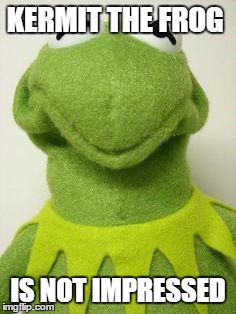 Kermit face | KERMIT THE FROG IS NOT IMPRESSED | image tagged in kermit face | made w/ Imgflip meme maker