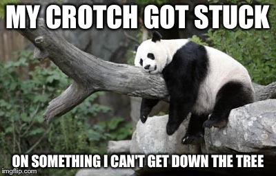 lazy panda | MY CROTCH GOT STUCK ON SOMETHING I CAN'T GET DOWN THE TREE | image tagged in lazy panda | made w/ Imgflip meme maker
