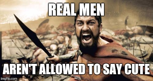 Sparta Leonidas Meme | REAL MEN AREN'T ALLOWED TO SAY CUTE | image tagged in memes,sparta leonidas | made w/ Imgflip meme maker