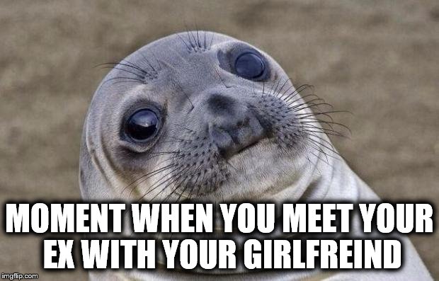 Awkward Moment Sealion Meme | MOMENT WHEN YOU MEET YOUR EX WITH YOUR GIRLFREIND | image tagged in memes,awkward moment sealion | made w/ Imgflip meme maker