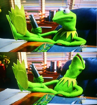 Kermit damn Blank Meme Template