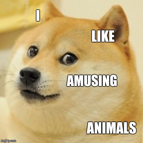 Doge Meme | I LIKE AMUSING ANIMALS | image tagged in memes,doge | made w/ Imgflip meme maker