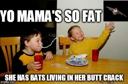 Yo Mamas So Fat Meme | YO MAMA'S SO FAT SHE HAS BATS LIVING IN HER BUTT CRACK | image tagged in memes,yo mamas so fat | made w/ Imgflip meme maker
