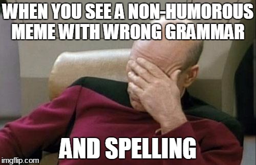 Captain Picard Facepalm Meme | WHEN YOU SEE A NON-HUMOROUS MEME WITH WRONG GRAMMAR AND SPELLING | image tagged in memes,captain picard facepalm | made w/ Imgflip meme maker