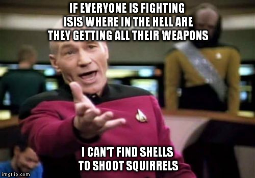 Picard Wtf Meme | IF EVERYONE IS FIGHTING ISIS WHERE IN THE HELL ARE THEY GETTING ALL THEIR WEAPONS I CAN'T FIND SHELLS TO SHOOT SQUIRRELS | image tagged in memes,picard wtf | made w/ Imgflip meme maker