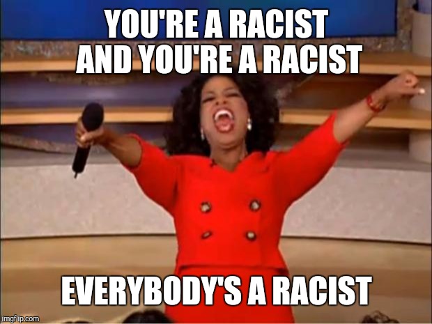 Oprah You Get A Meme | YOU'RE A RACIST AND YOU'RE A RACIST EVERYBODY'S A RACIST | image tagged in memes,oprah you get a | made w/ Imgflip meme maker