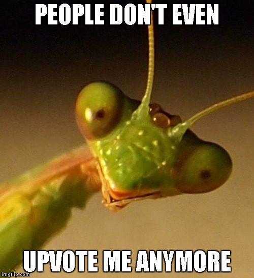 PEOPLE DON'T EVEN UPVOTE ME ANYMORE | made w/ Imgflip meme maker