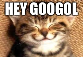 Happy cat | HEY GOOGOL | image tagged in happy cat | made w/ Imgflip meme maker