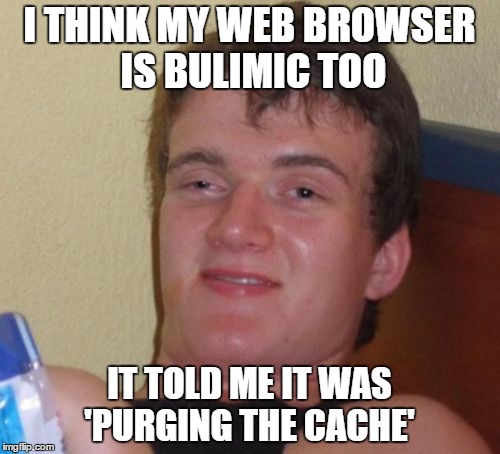 10 Guy Meme | I THINK MY WEB BROWSER IS BULIMIC TOO IT TOLD ME IT WAS 'PURGING THE CACHE' | image tagged in memes,10 guy | made w/ Imgflip meme maker