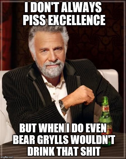 The Most Interesting Man In The World | I DON'T ALWAYS PISS EXCELLENCE BUT WHEN I DO EVEN BEAR GRYLLS WOULDN'T DRINK THAT SHIT | image tagged in memes,the most interesting man in the world | made w/ Imgflip meme maker