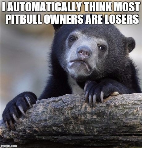 Confession Bear | I AUTOMATICALLY THINK MOST PITBULL OWNERS ARE LOSERS | image tagged in memes,confession bear,AdviceAnimals | made w/ Imgflip meme maker