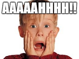 AAAAAHHHH!! | image tagged in home alone | made w/ Imgflip meme maker