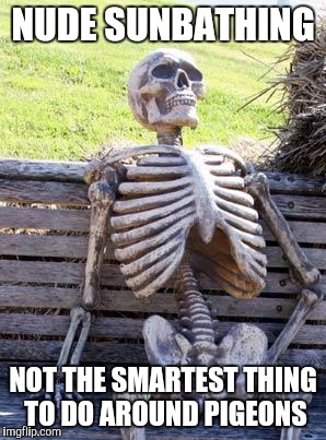 Waiting Skeleton Meme | NUDE SUNBATHING NOT THE SMARTEST THING TO DO AROUND PIGEONS | image tagged in memes,waiting skeleton | made w/ Imgflip meme maker