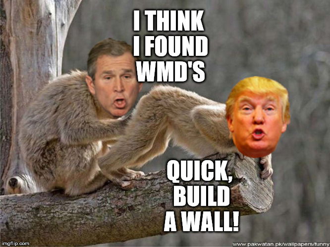 see all evil, speak all evil | I THINK I FOUND WMD'S QUICK, BUILD A WALL! | image tagged in monkey | made w/ Imgflip meme maker