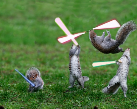 High Quality squirrel lightsaber2 Blank Meme Template