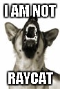 I AM NOT RAYCAT | made w/ Imgflip meme maker