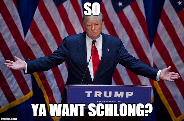 Donald Trump | SO YA WANT SCHLONG? | image tagged in donald trump | made w/ Imgflip meme maker