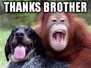 THANKS BROTHER | made w/ Imgflip meme maker