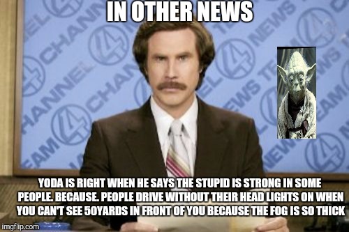 Ron Burgundy Meme | IN OTHER NEWS YODA IS RIGHT WHEN HE SAYS THE STUPID IS STRONG IN SOME PEOPLE. BECAUSE. PEOPLE DRIVE WITHOUT THEIR HEAD LIGHTS ON WHEN YOU CA | image tagged in memes,ron burgundy | made w/ Imgflip meme maker
