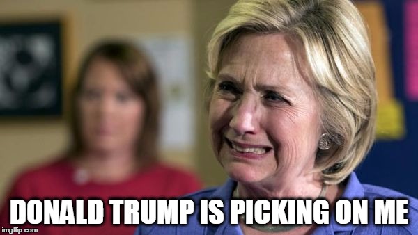 Crybaby Hillary | DONALD TRUMP IS PICKING ON ME | image tagged in crybaby hillary | made w/ Imgflip meme maker