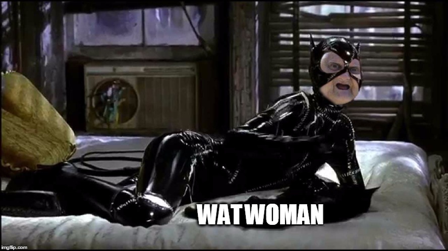 WATWOMAN | WAT WOMAN | image tagged in catwoman,wat,memes,meme,batman | made w/ Imgflip meme maker