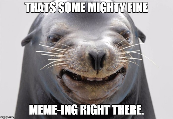 happy seal | THATS SOME MIGHTY FINE MEME-ING RIGHT THERE. | image tagged in happy seal | made w/ Imgflip meme maker