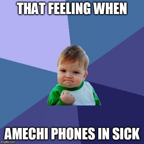 Success Kid Meme | THAT FEELING WHEN AMECHI PHONES IN SICK | image tagged in memes,success kid | made w/ Imgflip meme maker