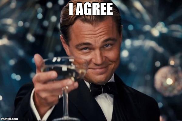 Leonardo Dicaprio Cheers Meme | I AGREE | image tagged in memes,leonardo dicaprio cheers | made w/ Imgflip meme maker