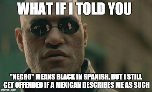 Matrix Morpheus Meme | WHAT IF I TOLD YOU "NEGRO" MEANS BLACK IN SPANISH, BUT I STILL GET OFFENDED IF A MEXICAN DESCRIBES ME AS SUCH | image tagged in memes,matrix morpheus | made w/ Imgflip meme maker