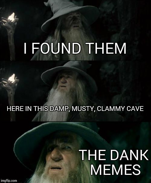 Confused Gandalf Meme | I FOUND THEM HERE IN THIS DAMP, MUSTY, CLAMMY CAVE THE DANK MEMES | image tagged in memes,confused gandalf | made w/ Imgflip meme maker