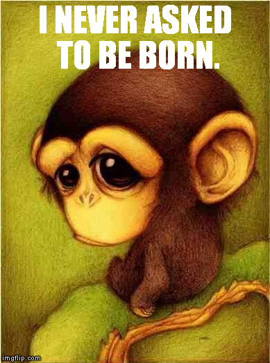 Sad monkey | I NEVER ASKED TO BE BORN. | image tagged in sad monkey | made w/ Imgflip meme maker