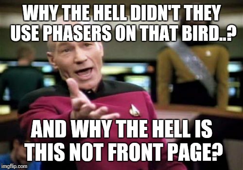 Picard Wtf Meme | WHY THE HELL DIDN'T THEY USE PHASERS ON THAT BIRD..? AND WHY THE HELL IS THIS NOT FRONT PAGE? | image tagged in memes,picard wtf | made w/ Imgflip meme maker