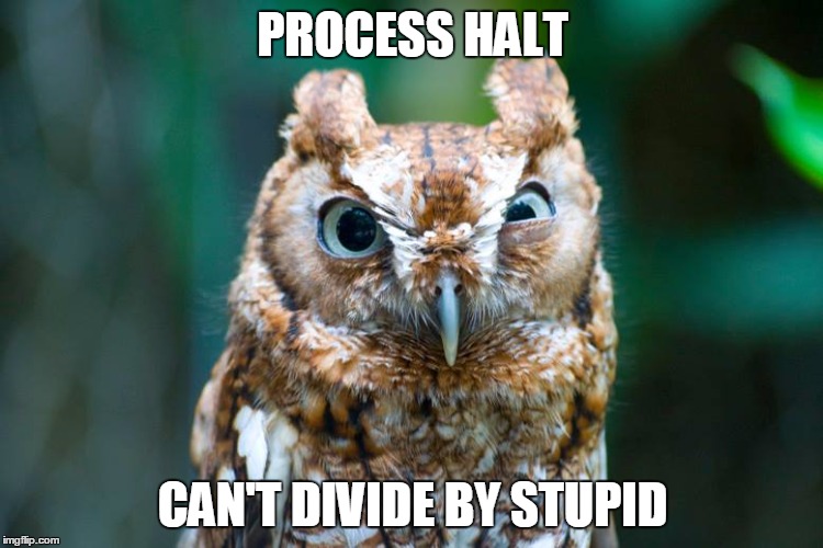 Can't divide by stupid | PROCESS HALT CAN'T DIVIDE BY STUPID | image tagged in owl face,can't divide by stupid,process halt,annoyed owl,eye twitch,response to stupid | made w/ Imgflip meme maker