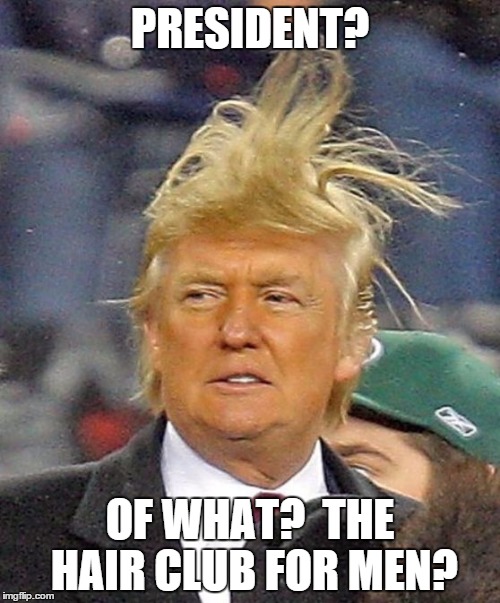 Donald Trumph hair | PRESIDENT? OF WHAT?  THE HAIR CLUB FOR MEN? | image tagged in donald trumph hair | made w/ Imgflip meme maker
